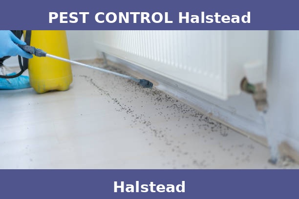 PEST CONTROL Halstead